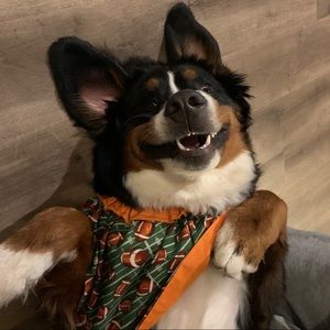 Meet your Posher, Anika